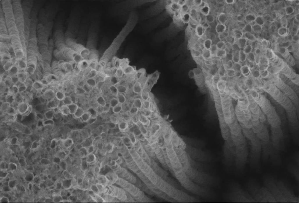 Nanoparticules – 21 juin 2019