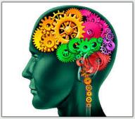 Mémoire, neurosciences et neurotoxiques